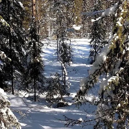 The Old School Of Halosenranta Kemijärvi